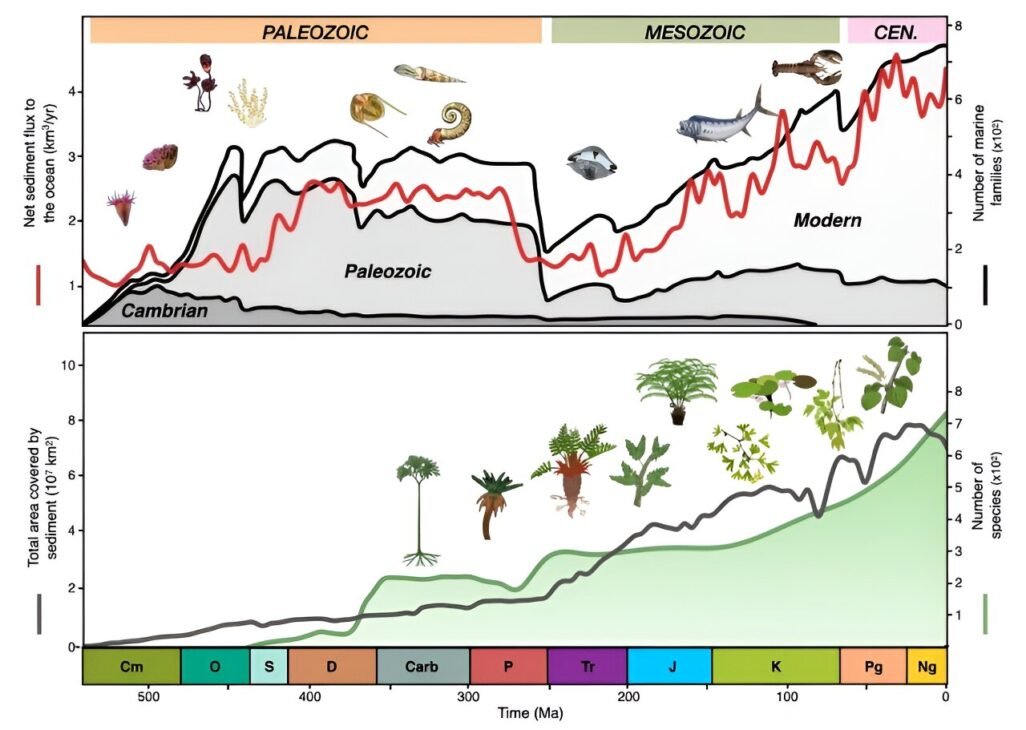Top panel shows reconstructed sediment fluxes to the oceans vs diversity of marine animals. Bottom panel shows sediment cover in continental regions vs the long-term trend in land-plant diversity.